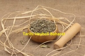 Zahter Kekik - Dağ Kekiği