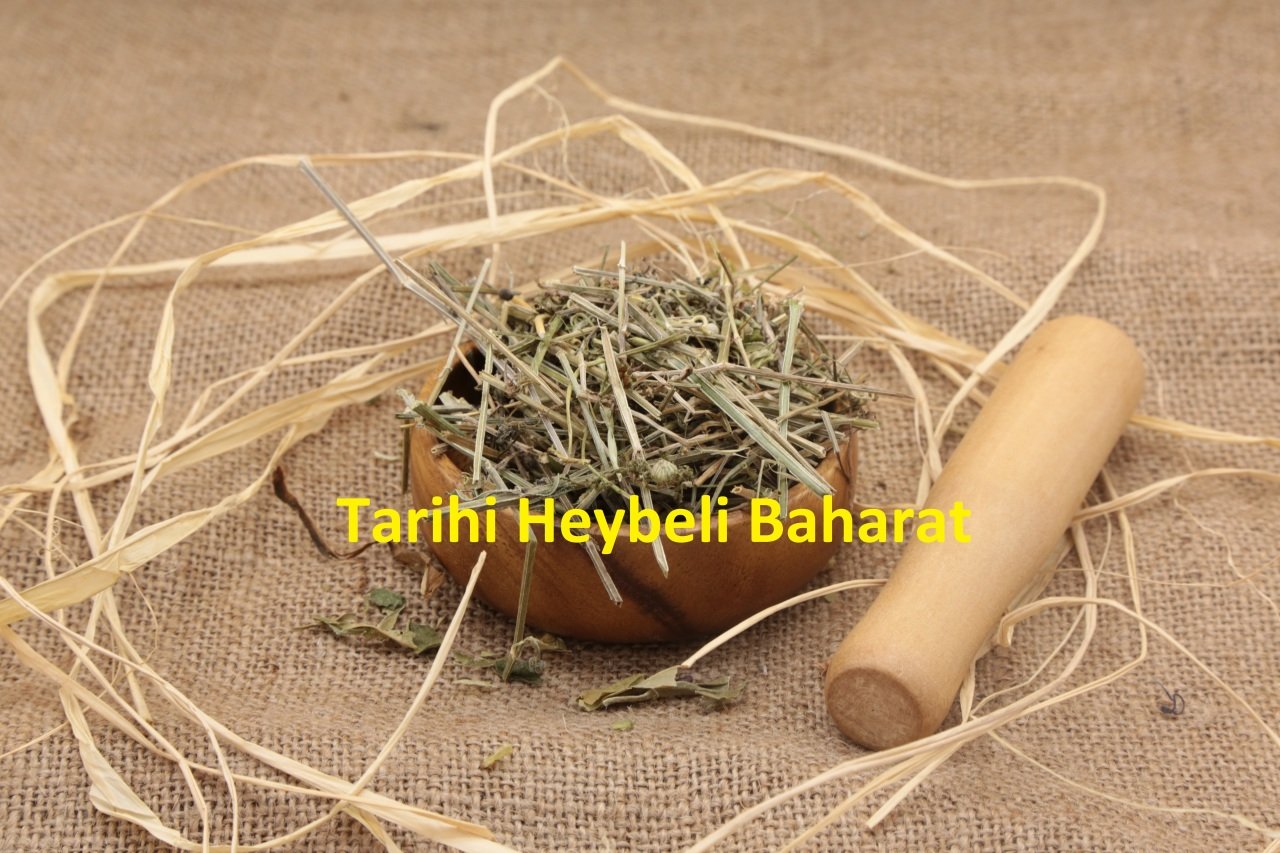 Yoğurt - Yapışkan Otu