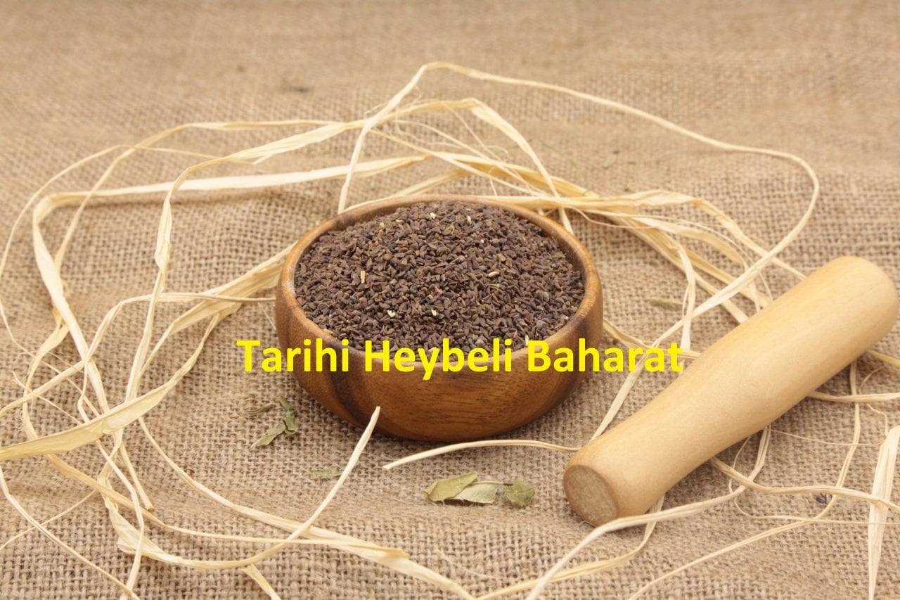 Üzerlik Tohumu