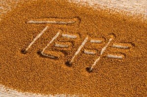Teff (Tef) Tohumu