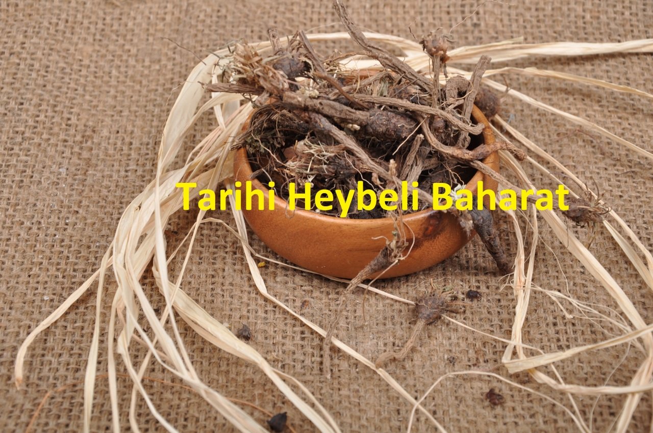 Akırı Kahra - Udül Kahr