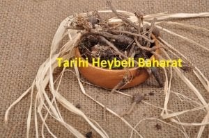 Akırı Kahra - Udül Kahr