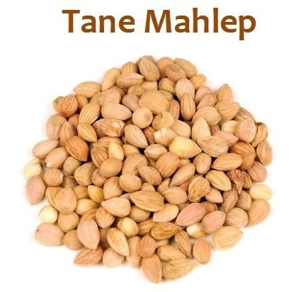 Tane Mahlep