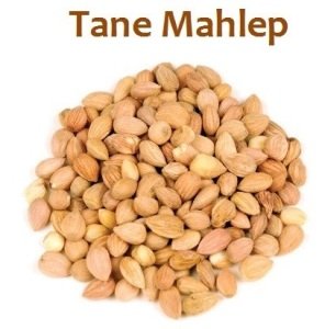 Tane Mahlep