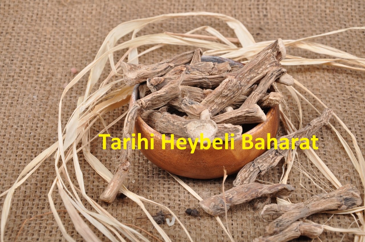 Hazanbel (Eğir Kökü)