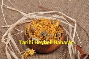 Aynı Sefa - Portakal Nergisi