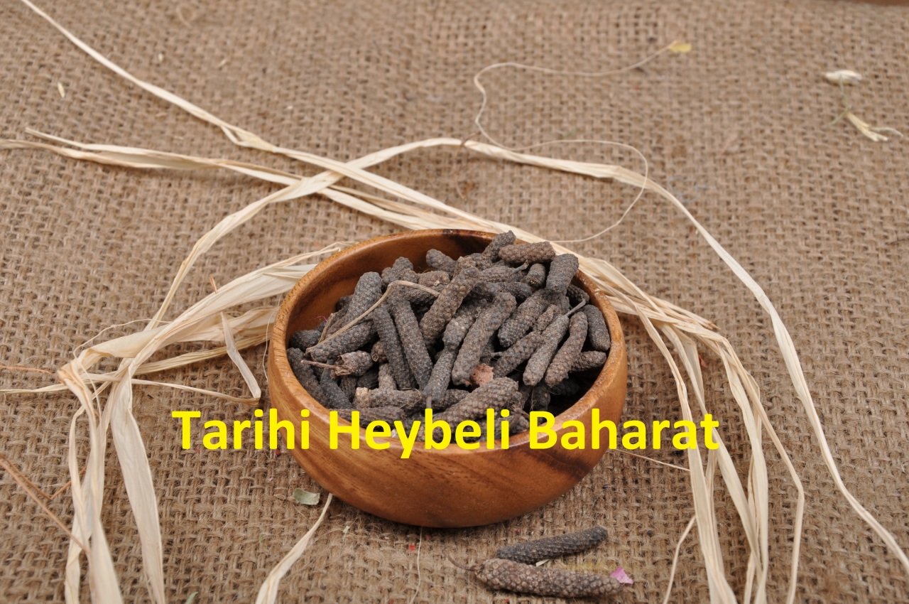 Darı Fülfül - Dar-ı Fulful