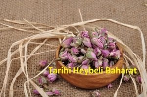 Tomurcuk Gül Kurusu - Gonca Gül