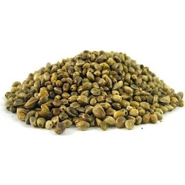 Kenevir Kendir (Çedene) Tohumu Glutensiz