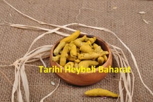 Tane - Kök Zerdeçal