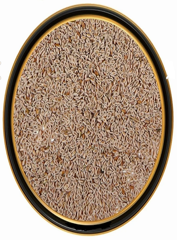 Karnıyarık Otu Tohumu (Psyllium)