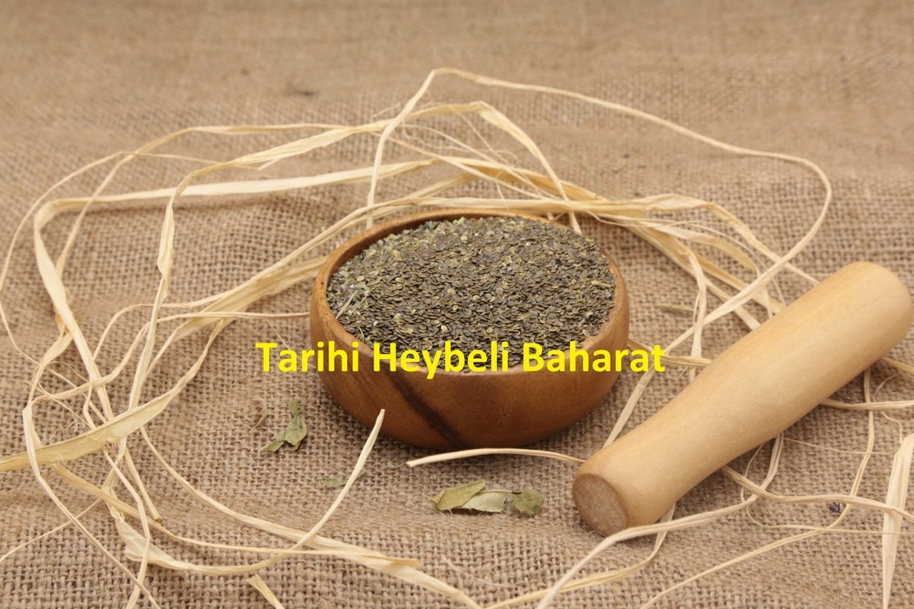 Isırgan Otu Tohumu (Isırgan Tohumu)