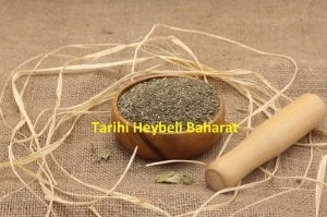 Isırgan Otu Tohumu (Isırgan Tohumu)