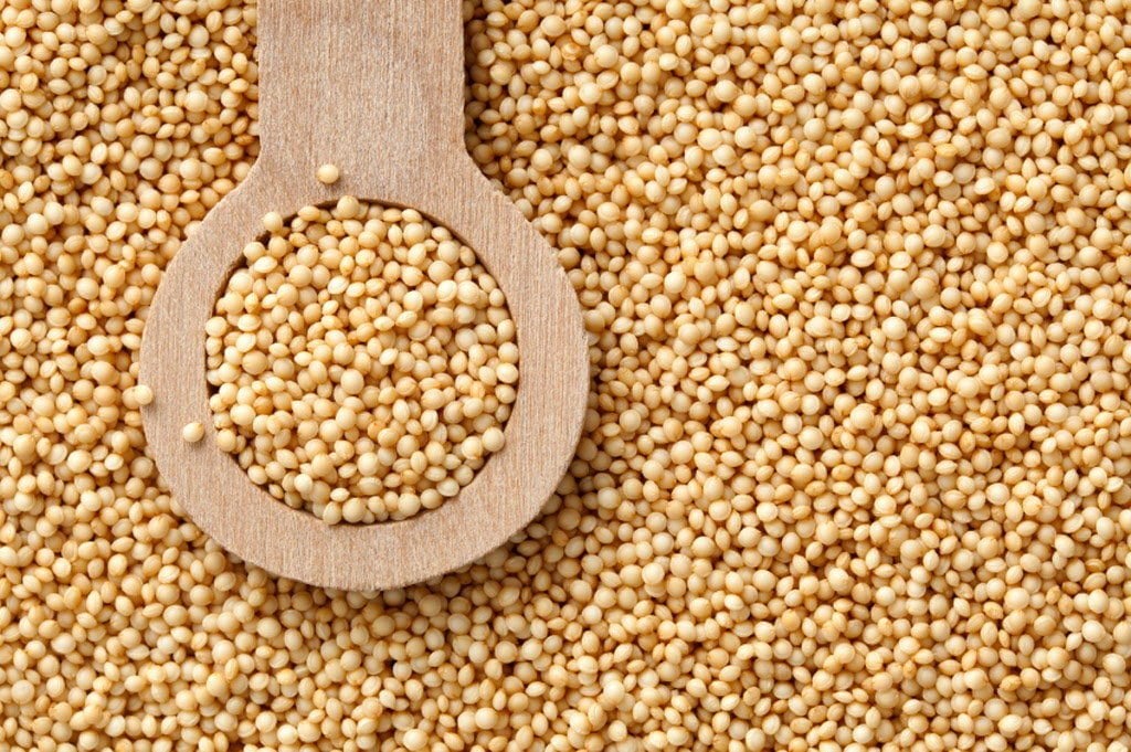 Amarant (Amaranth) Tohumu