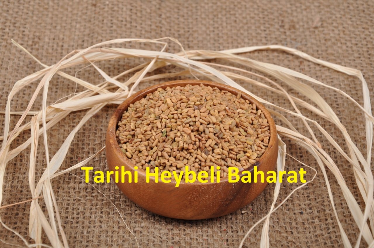 Tane Çemen - Çemen Tohumu - Çemen Otu Tohumu