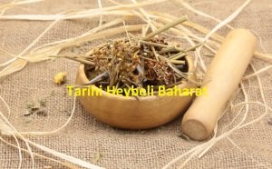 Kayışkıran - Kayış Kıran Otu (Eşek Otu)