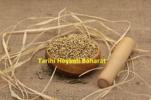 Tane Kişniş Tohumu