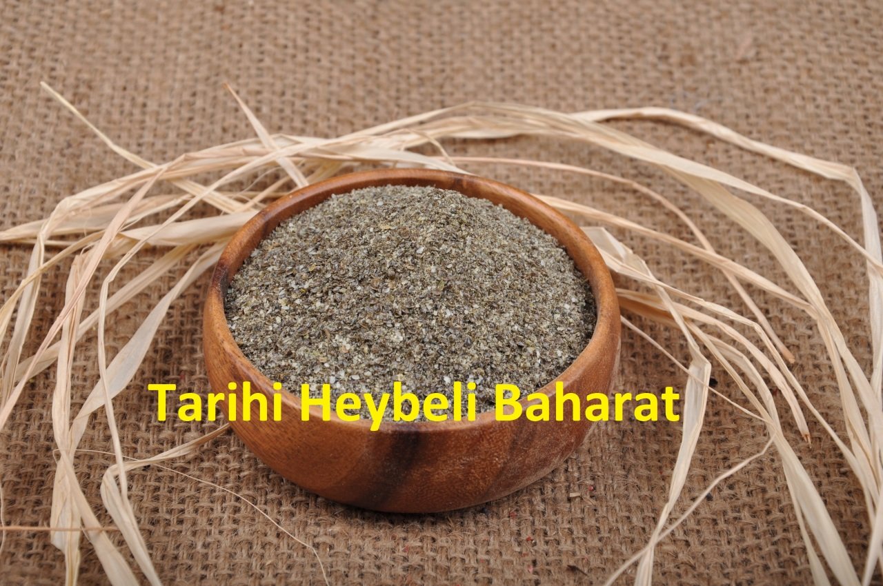 Toz - Öğütülmüş Isırgan Tohumu (Isırgan Otu Tohumu)