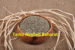 Toz - Öğütülmüş Isırgan Tohumu (Isırgan Otu Tohumu)