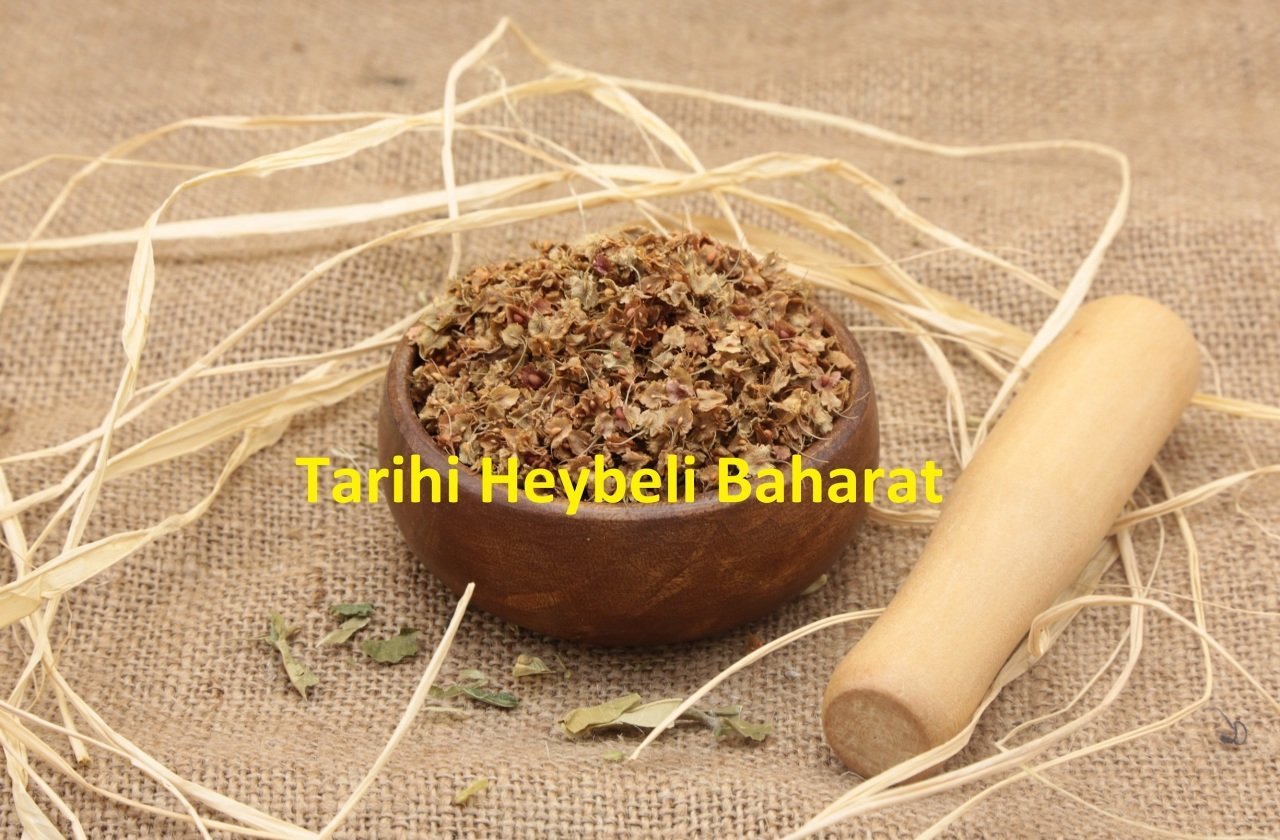 Labada - Labada Çiçeği