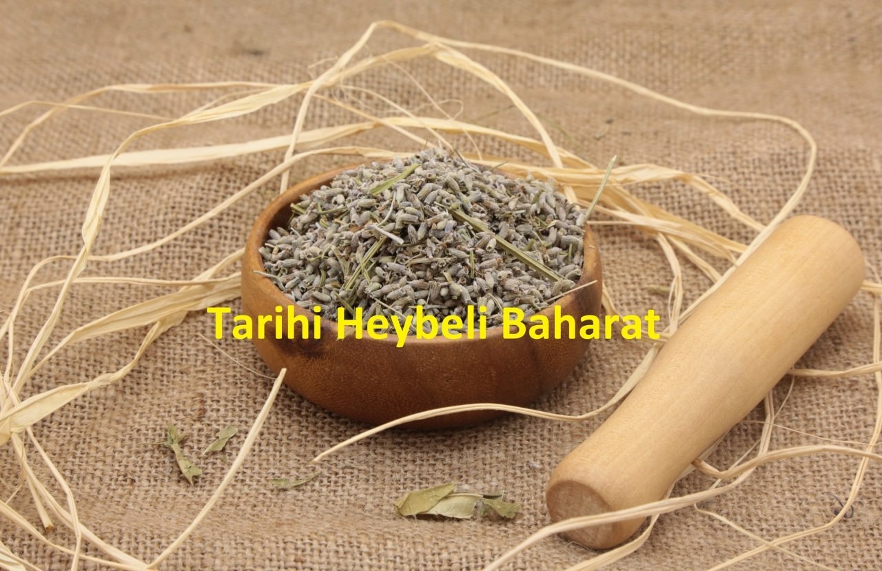 Lavanta Çiçeği - Lavanta Kurusu