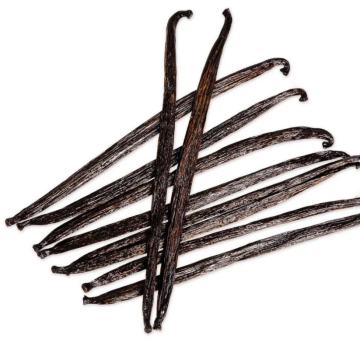 1 Kg Taze 1. Kalite Çubuk Vanilya - Vanilya Çubuğu (16-18 cm) Vakumlu Ambalaj