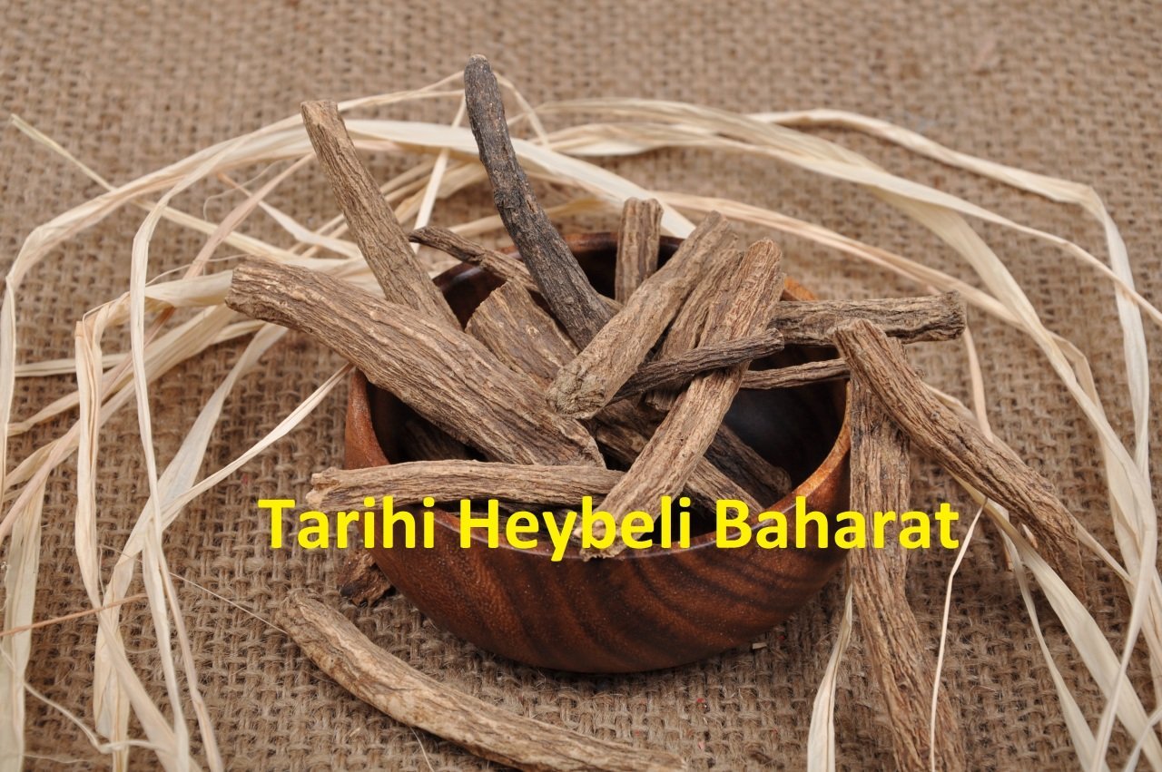 Tane Kök Udihindi - Udi Hindi