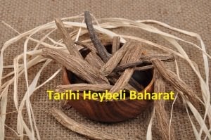 Tane Kök Udihindi - Udi Hindi