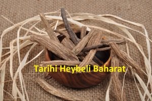 Tane Kök Udihindi - Udi Hindi
