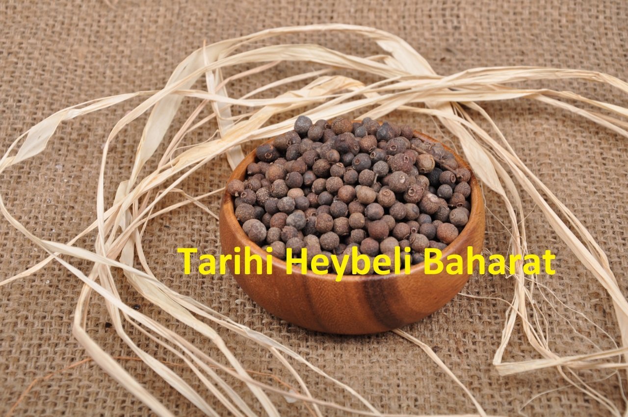 Yenibahar - Yeni Bahar Tane