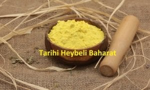 Şeytan Tersi (Hıthıt) - Şeytan Boku - Kasnı Otu - Ferula Assa - Foetida Toz