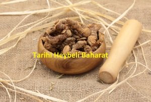 Kök Havlıcan - Tane Havlıcan