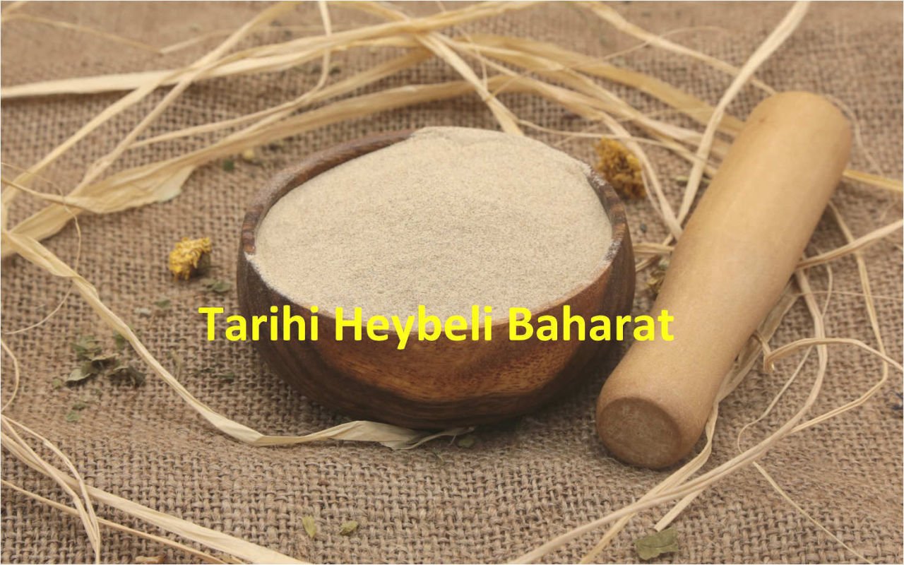 Toz - Öğütülmüş Propolis Ekstraktı - Ekstresi