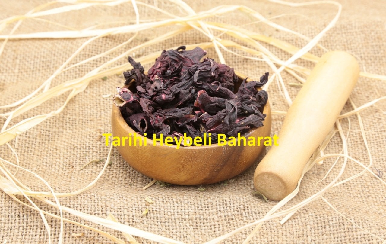 Hibiskus - Hibisküs - Bamya Çiçeği - Nar Çiçeği