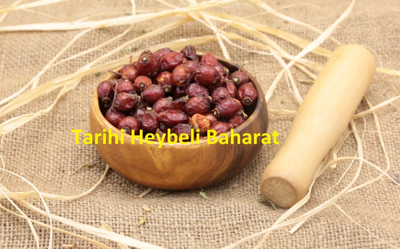 Kurutulmuş Tane Kuşburnu (Yeni Ürün)