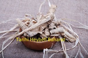 Melek Otu Kökü